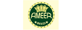 Ameer Beedi