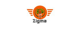 Zigma